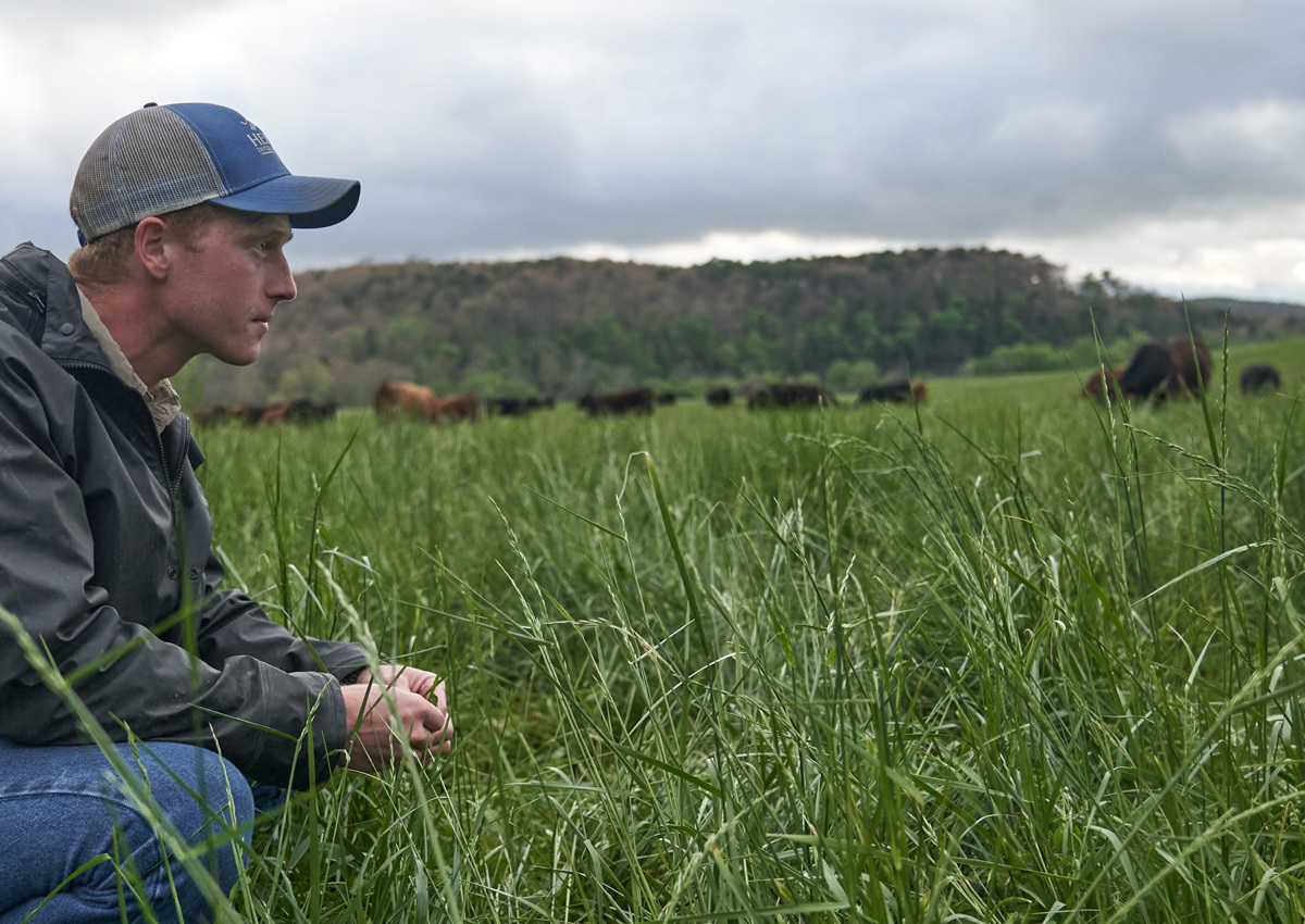 Regenerative farming in Rural America